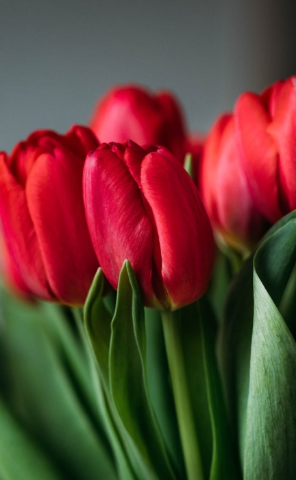 �Wվ������ͨ�^���}Ҫ��ô��(y��u)��